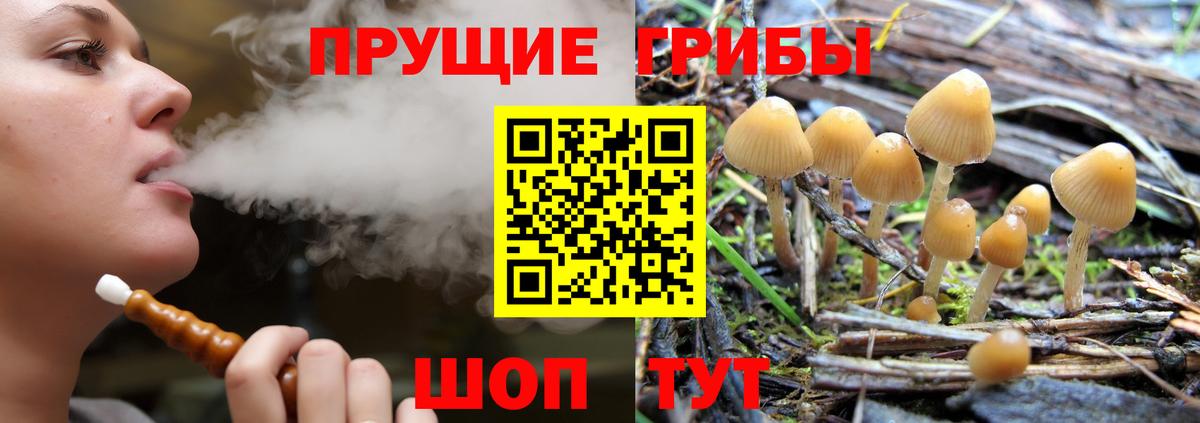 Урай  Псилоцибиновые грибы прущие грибы  Вход с VPN 